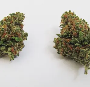 Ghost OG