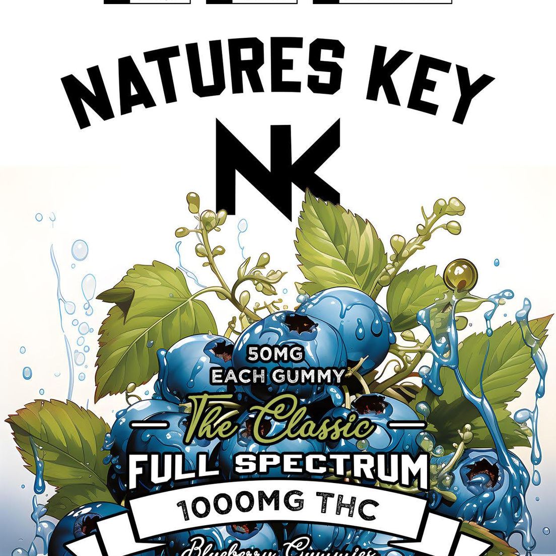 NATURES KEY BLUEBERRY FULL SPECTRUM GUMMIES 1000MG