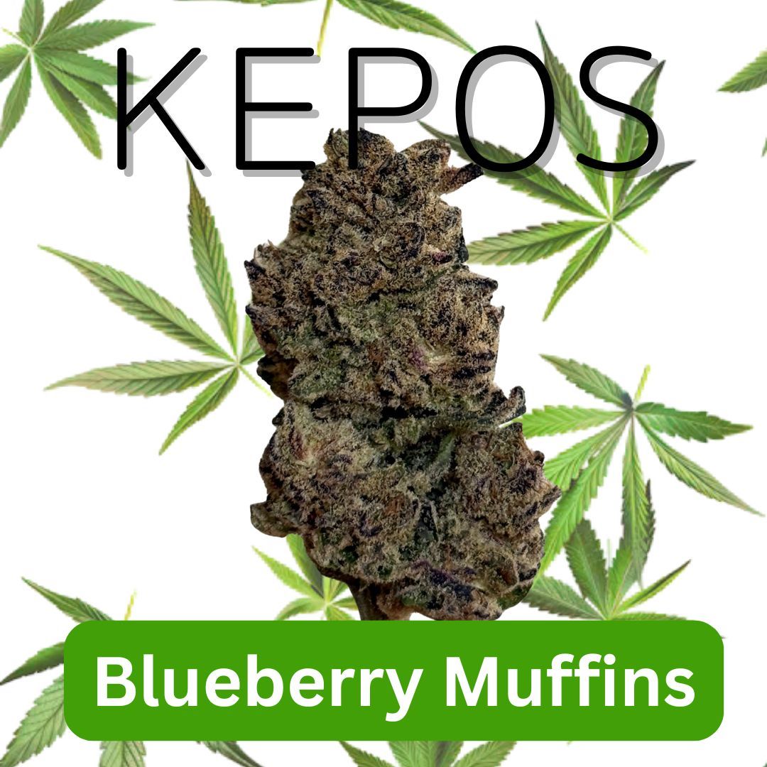 Kepos - Blueberry Muffins 28g - PREMIUM FLOWERS
