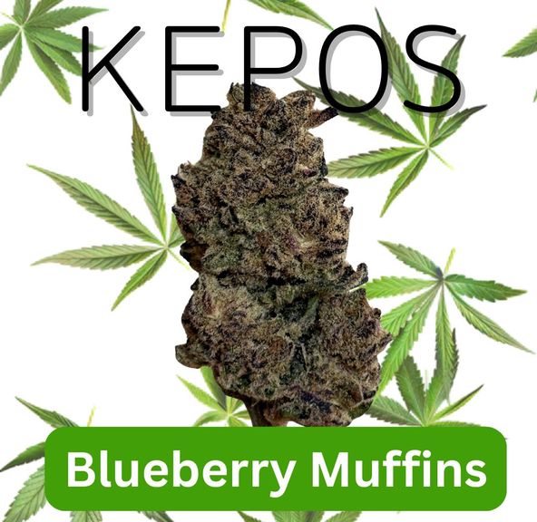 Kepos - Blueberry Muffins 28g - PREMIUM FLOWERS