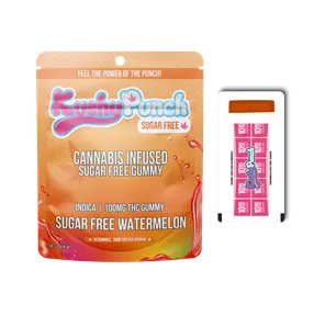 1. Kushy Punch | Gummies | 1pk | Sugar Free | Watermelon