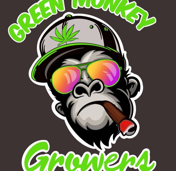 24K (GREEN MONKEY GROWERS)