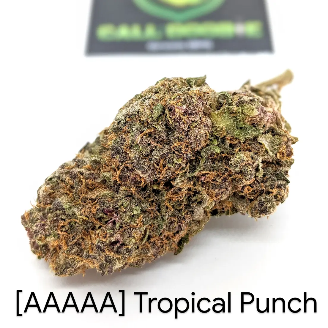 [AAAAA] Tropical Punch ***25% OFF OZ SPECIAL***