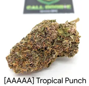 [AAAAA] Tropical Punch ***25% OFF OZ SPECIAL***