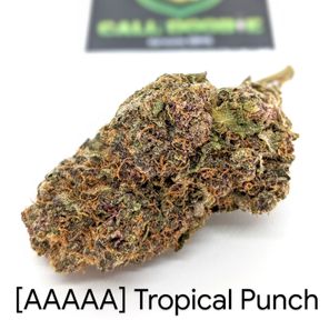 [AAAAA] Tropical Punch ***25% OFF OZ SPECIAL***