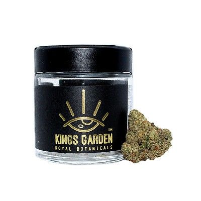 Kings Garden Gelato Flower Prepackaged 1/8th