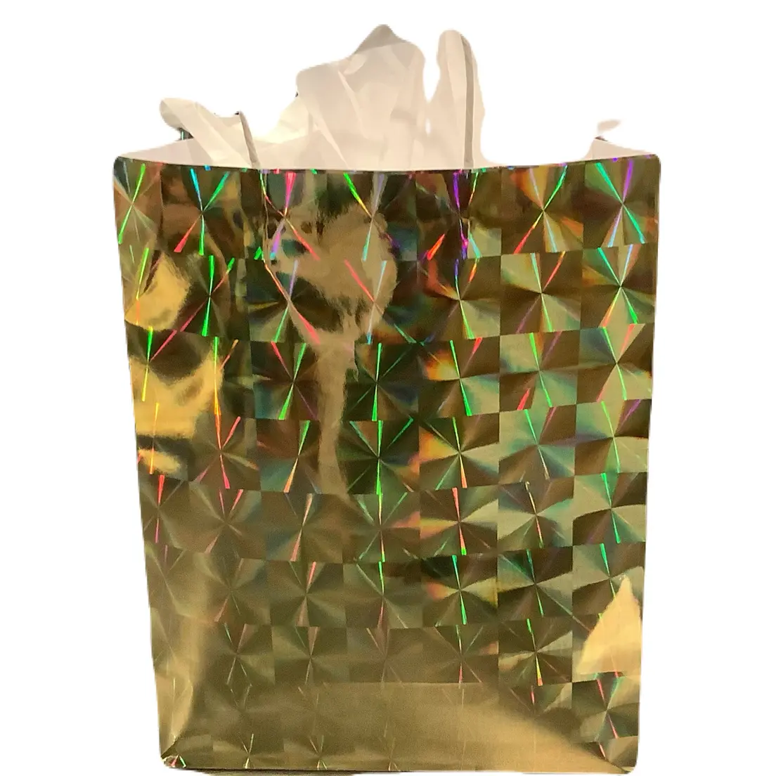 $50.00 Surprise Bag