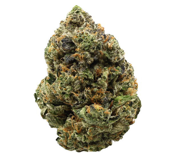 Black Astro $200oz