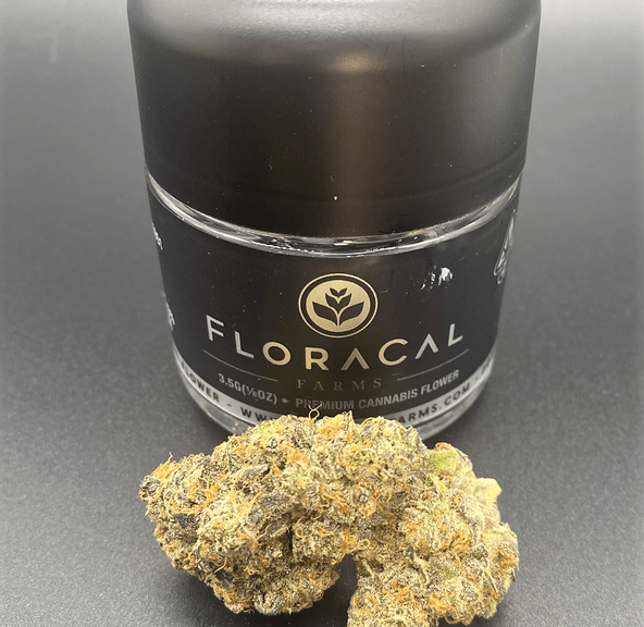 Kush Mints - 3.5g Indoor Flower (THC 37%) by Floracal