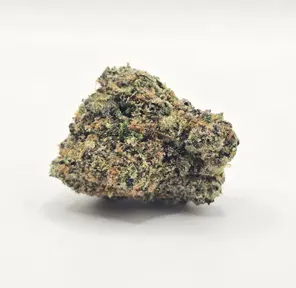 Exotic - Bakara - 29% - H
