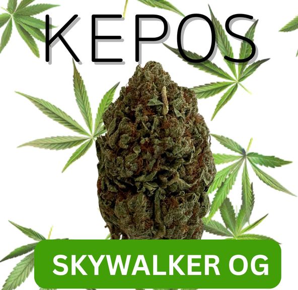 Kepos - Skywalker OG 14g - PREMIUM FLOWERS
