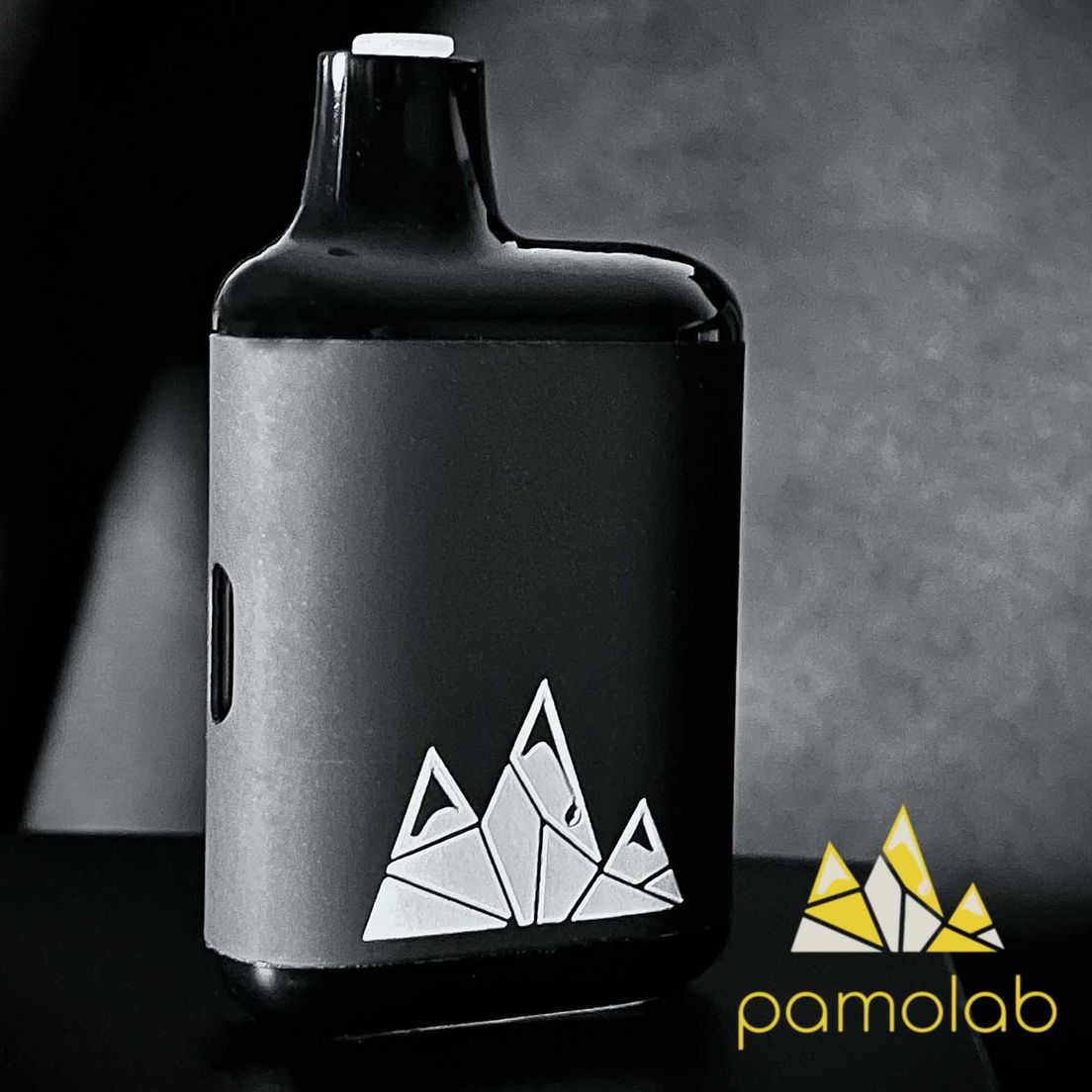 Pistash 1g live resin Disposable vape from Pamolab