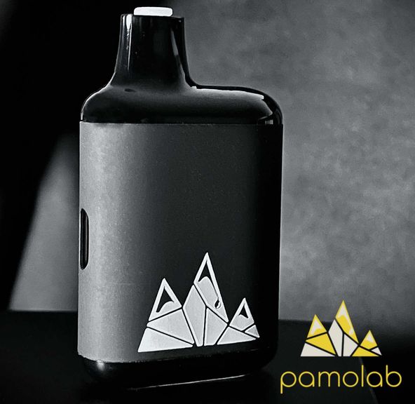 Pistash 1g live resin Disposable vape from Pamolab