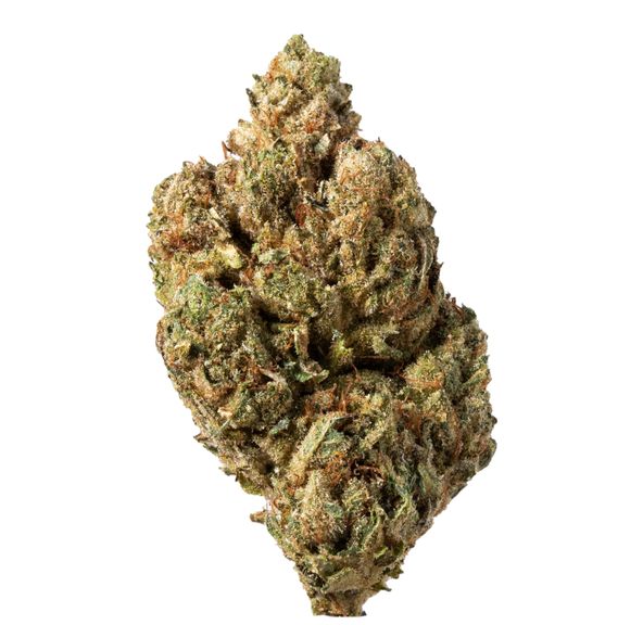 Buddha Kings GG4