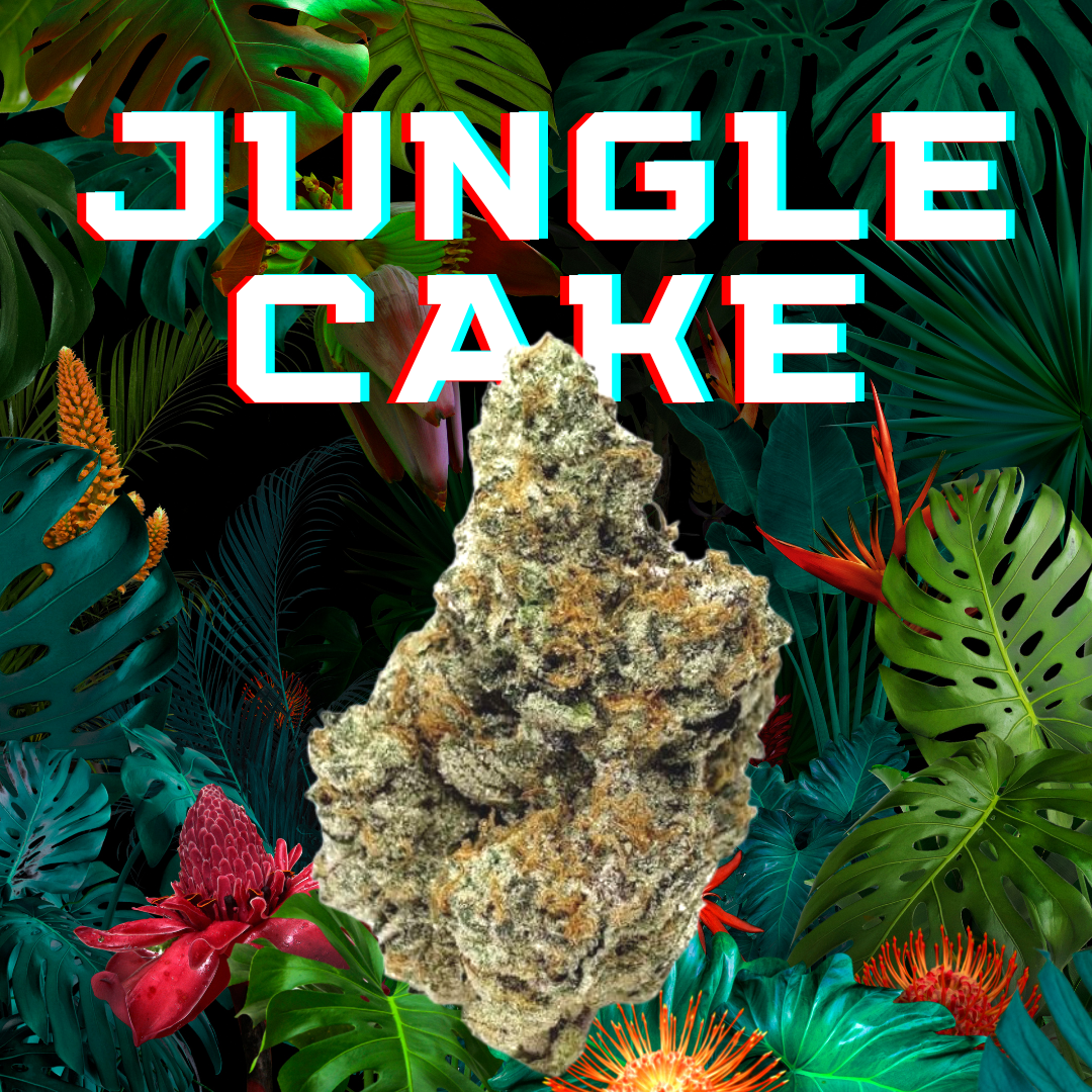 DAZE - Jungle Cake (28g) Shake