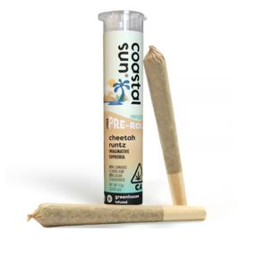 Coastal Sun - Cheetah Runtz 2pk Infused Preroll 1.5g