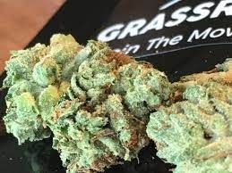 Burnt Toast -3.5 (Grassroots)