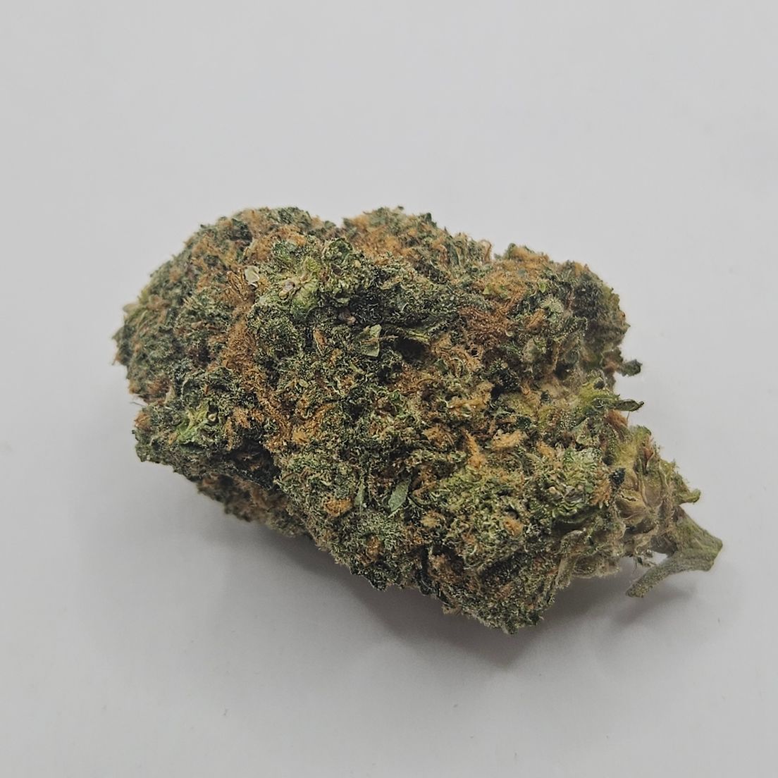 *Indoor - Frosted Fruit Cake - 25% - IDH