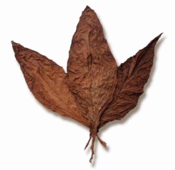 Grabba Leaf 1/3