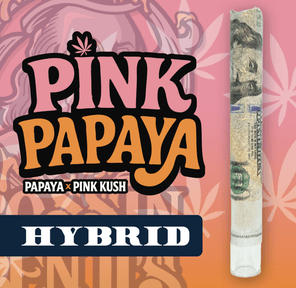 RR|Bossin Benji|Pink Papaya