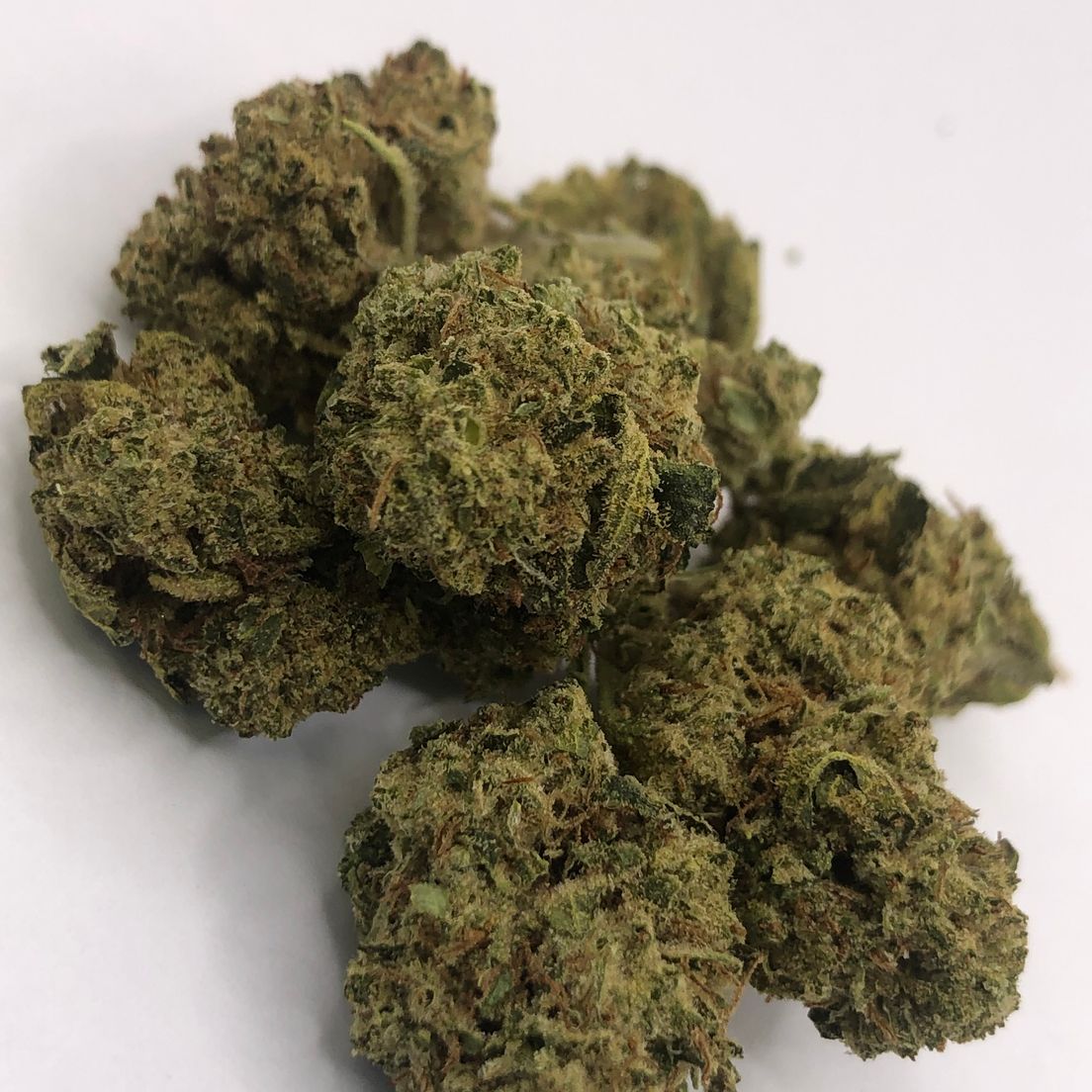 Hell Cat | Grasshopper Farms | Bud (50/50 Hybrid)