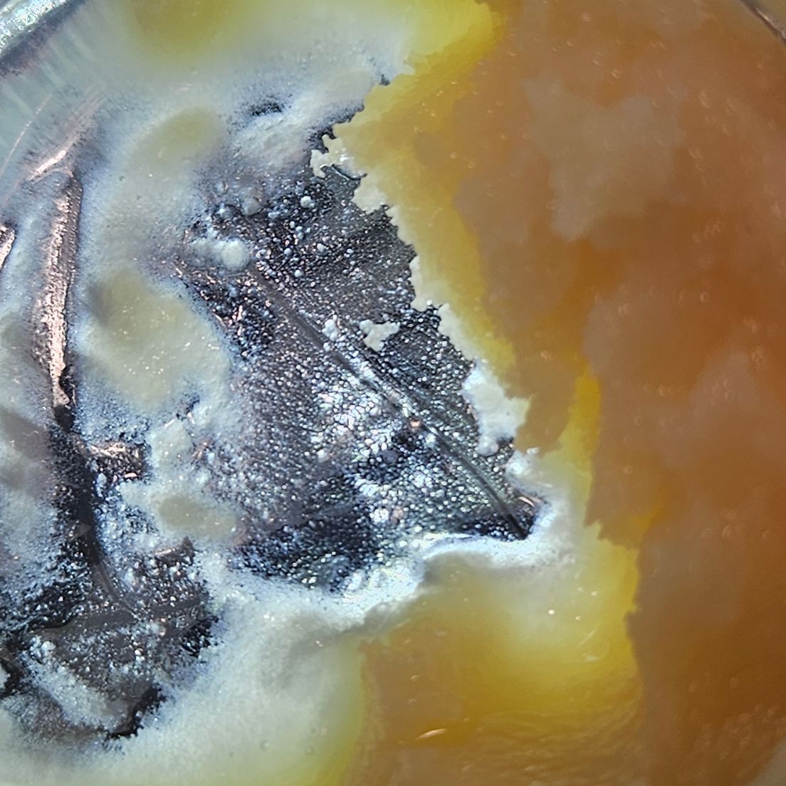 Dissolv - Dabs - Banana Cream OG - 1g