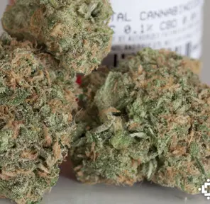 Blue Dream