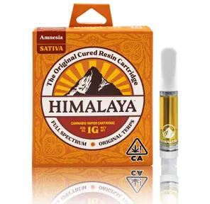 Himalaya Amnesia