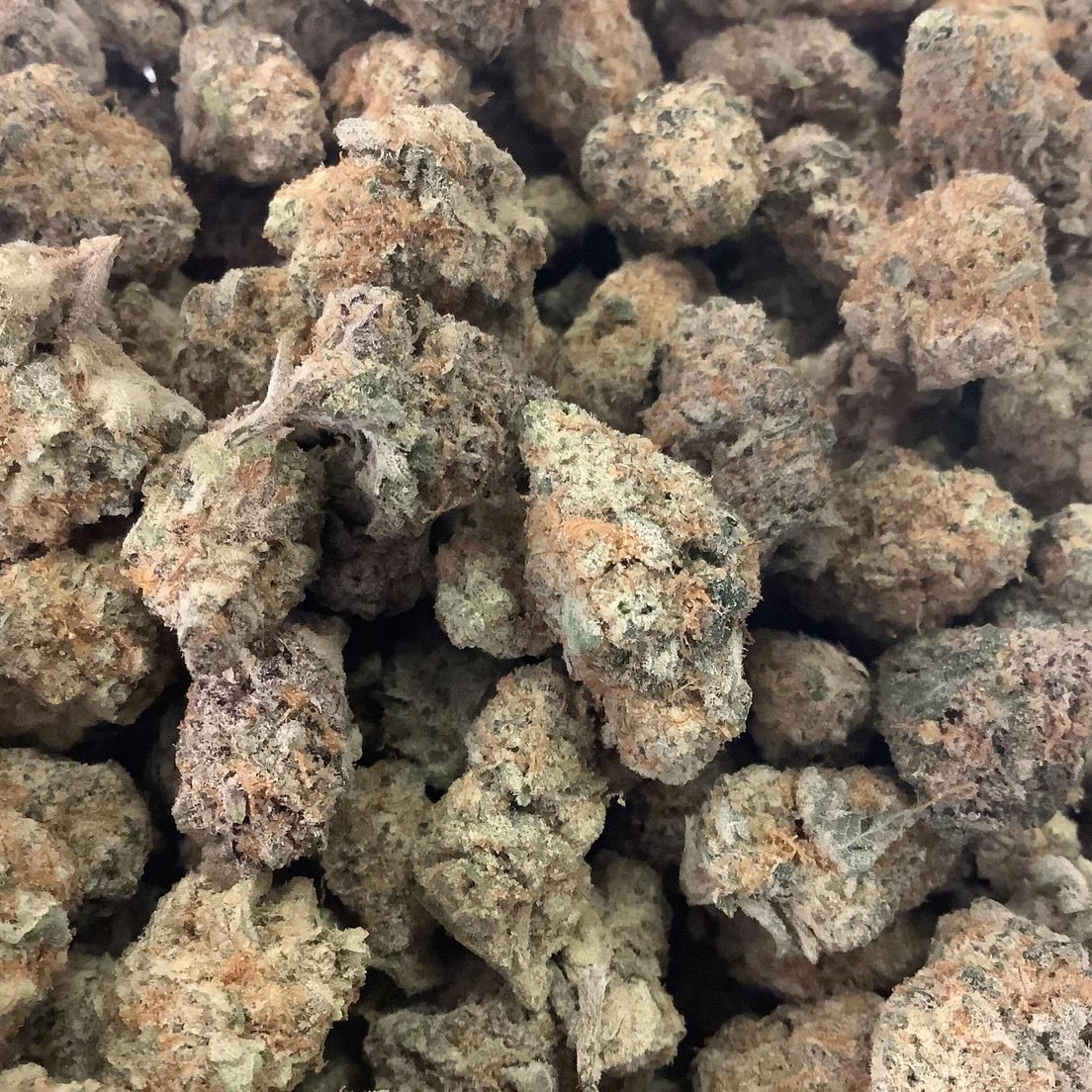 Black Cherry Punch