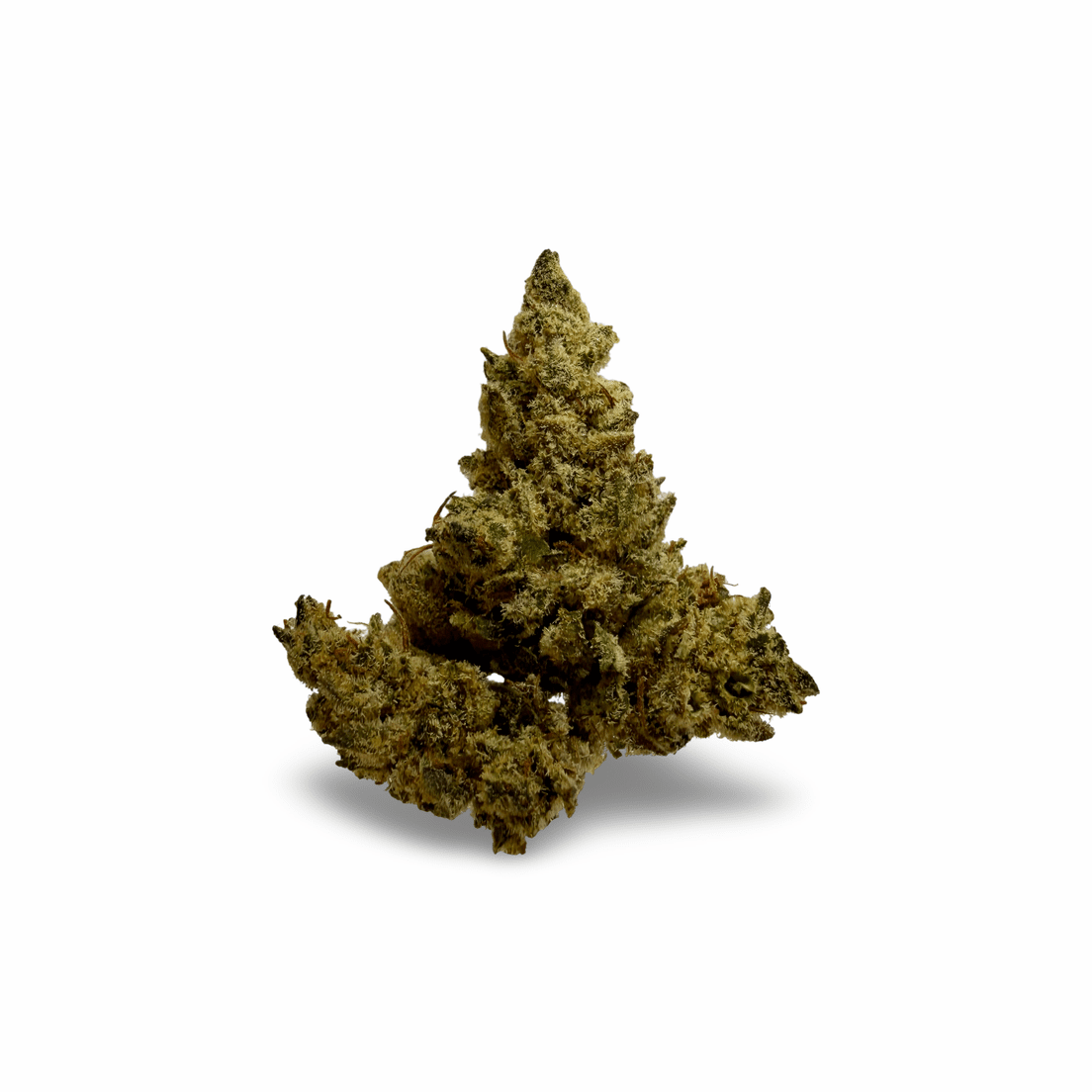 GARLIC GLUE - 28G | INDOOR