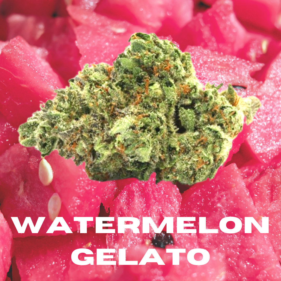 DAZE - Watermelon Gelato (14g)