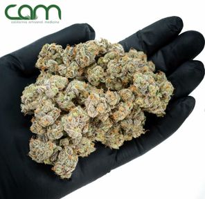B. CAM 14g Premium Flower - Quality 10/10 - Gelati (~21%)