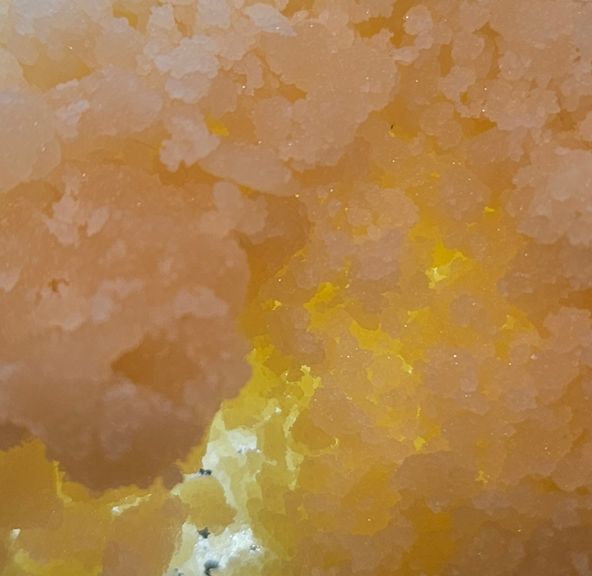 Dissolv - Dabs - Gary Payton - 1g