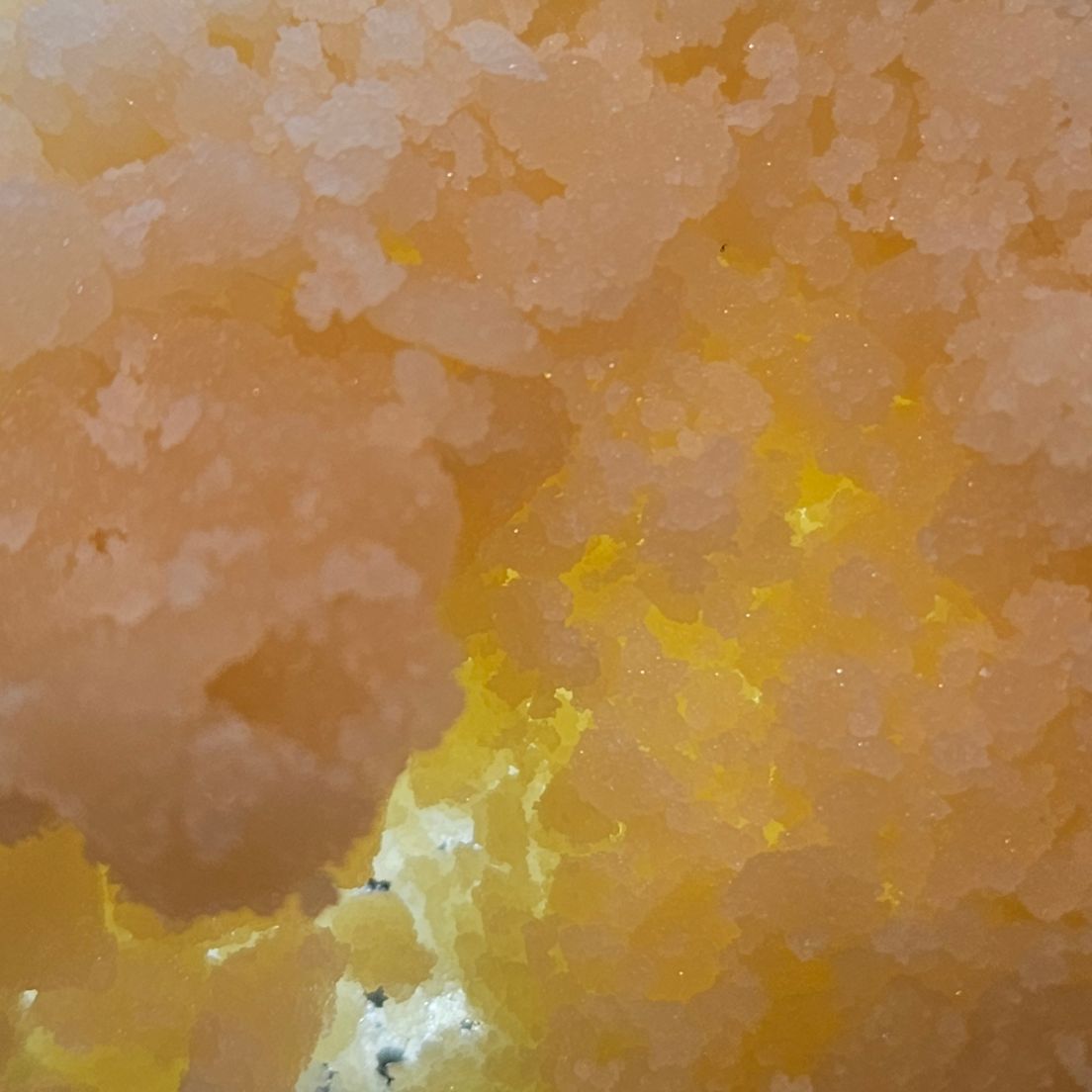 Dissolv - Dabs - Gary Payton - 1g