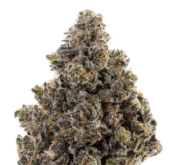 Cartel cake - Green sticker
