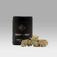 Fruity Pebbles OG, Smalls, Flower, 31.41% - Cream Of The Crop
