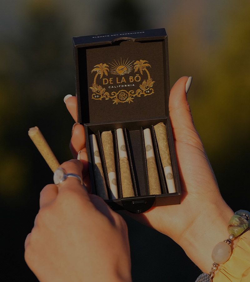 De La Bo - Dutch Treat 6 pack pre rolls