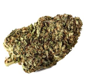 Honeyleaf - Hashberry
