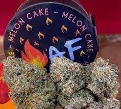 *Fire AF Melon Cake 3.5g 29.16%