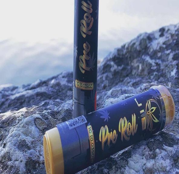 Amnesia Haze JIBZ