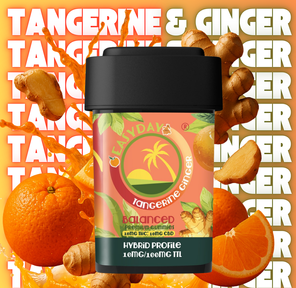 (Easy Day) Tangerine Ginger 10x10mg Gummies