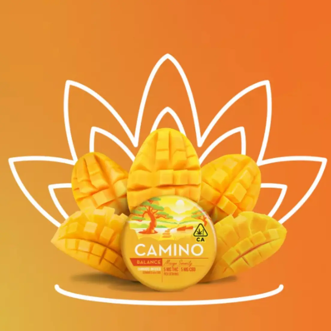 Camino 5:5 Mango Serenity CBD 'Balance' Gummies 72.00 g