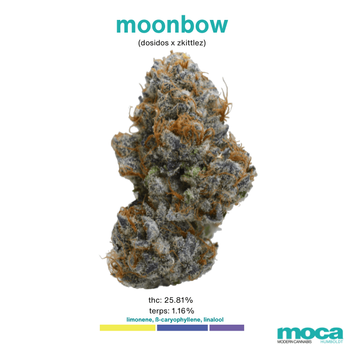 MOCA Flowers - 1/8th Jar - Moonbow