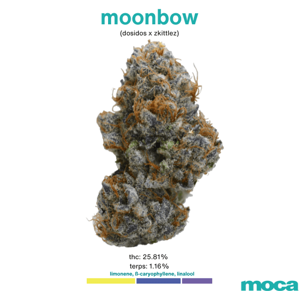 MOCA Flowers - 1/8th Jar - Moonbow
