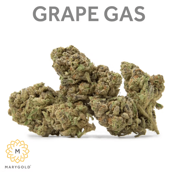 Marygold - Grape Gas 3.5g