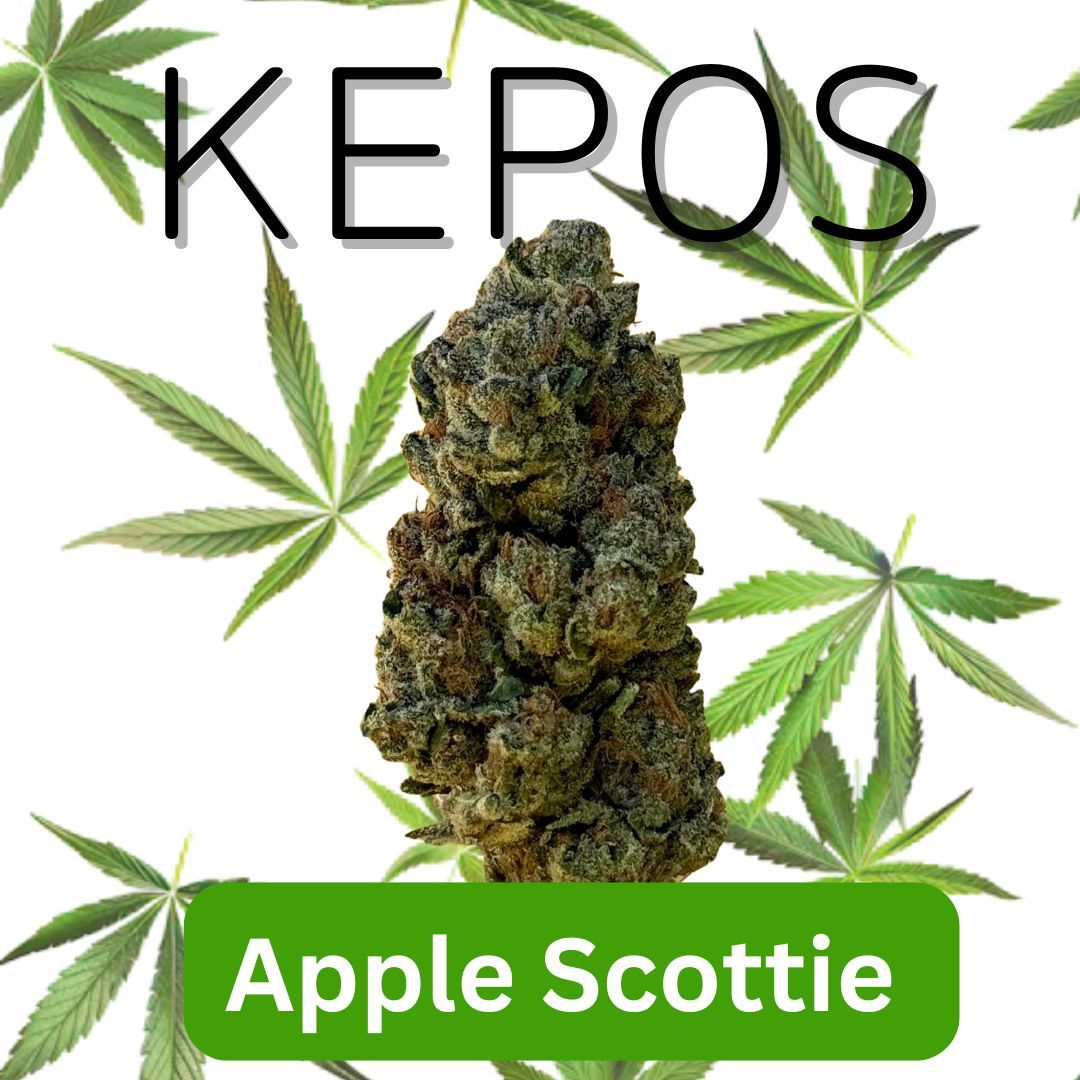 Kepos - Apple Scottie 3.5g - PREMIUM FLOWERS