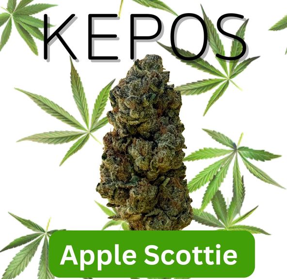 Kepos - Apple Scottie 3.5g - PREMIUM FLOWERS