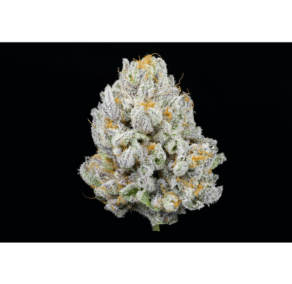 3.5G - Area 41 Indoor