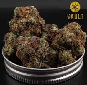 AAAA | PINK ZOMBIE ⭐️NEW ARRIVAL⭐️