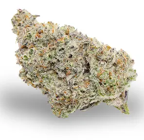Captain Greenleaf - Flower - Mac1